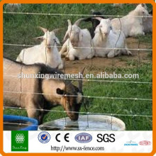 common electric galvanized sheep fence